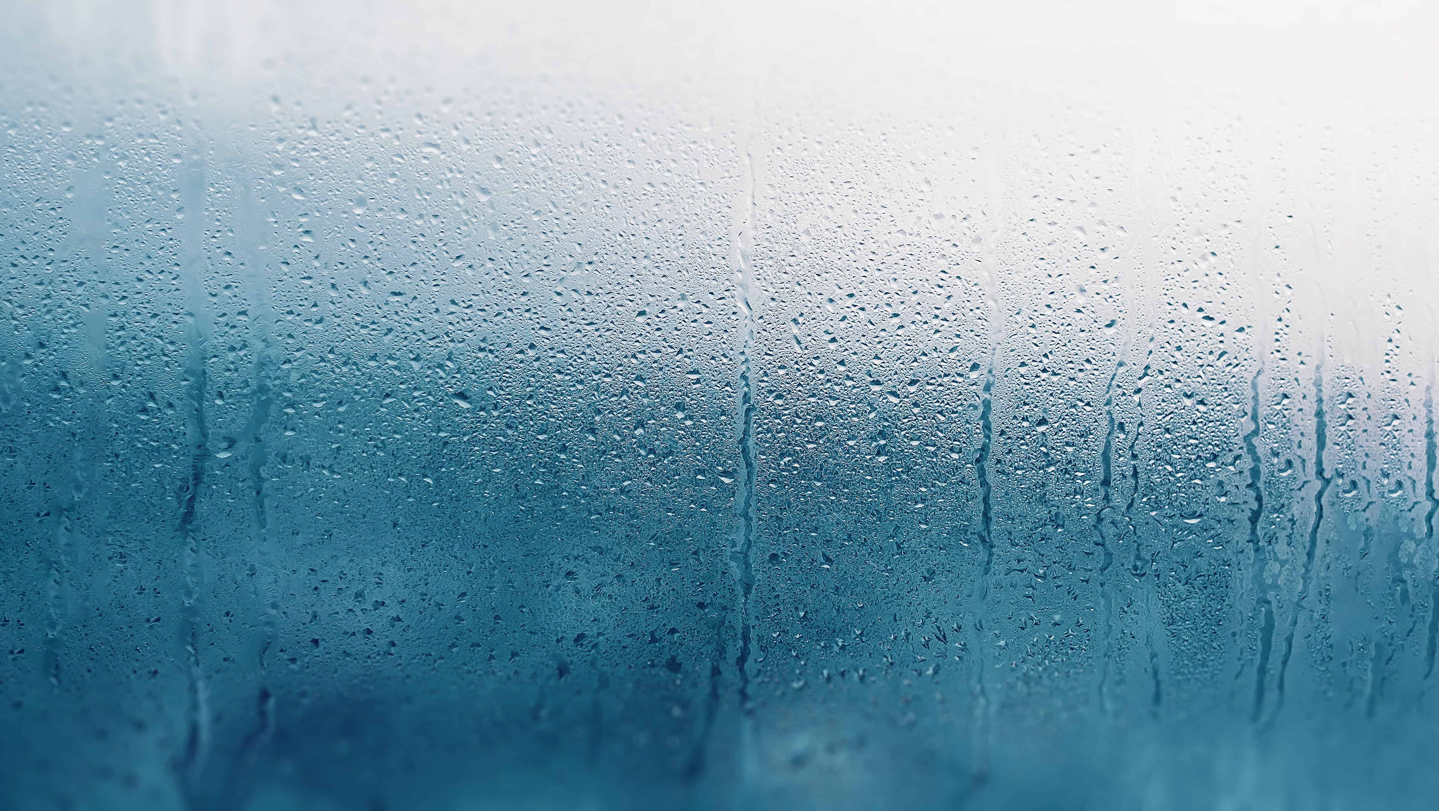 How Seasonal Changes Can Affect Drying Conditions Hardwood Floors