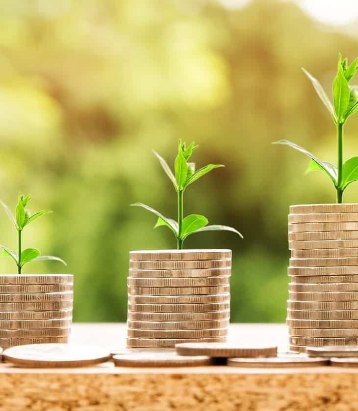 Investment Coins