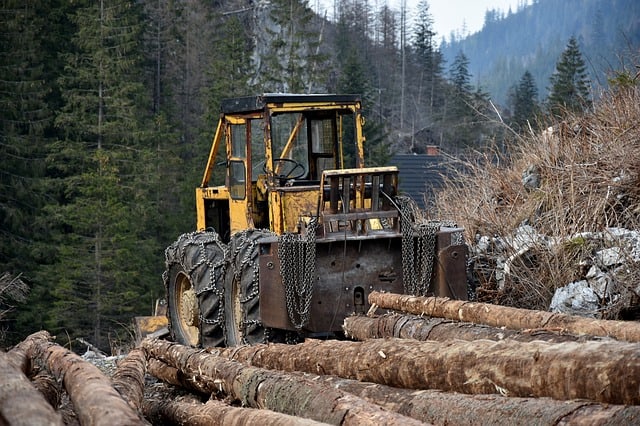 Job Cuts Lumber