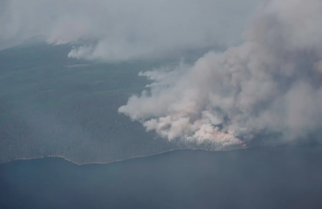 Worst Year in a Decade for Forest Fires in Quebec Hardwood Floors