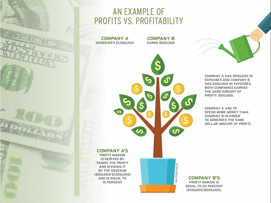 Profits vs. Profitability Example