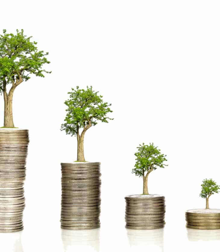 Trees on Coins