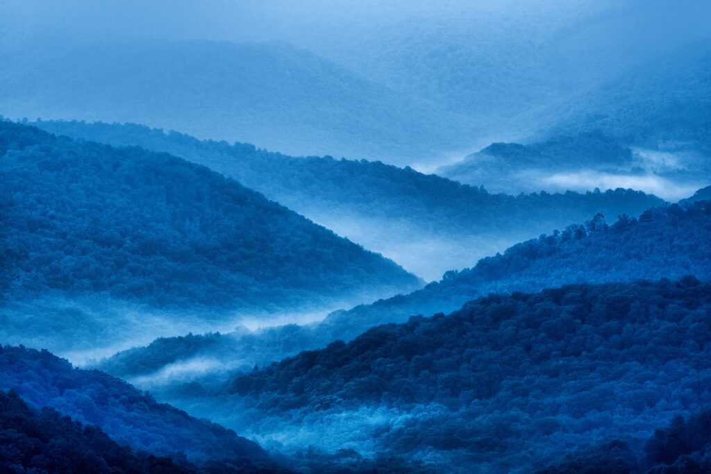 Allegheny National Forest