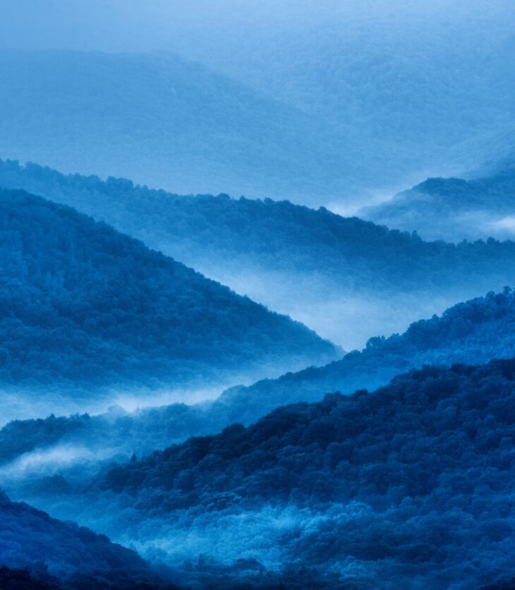 Allegheny National Forest