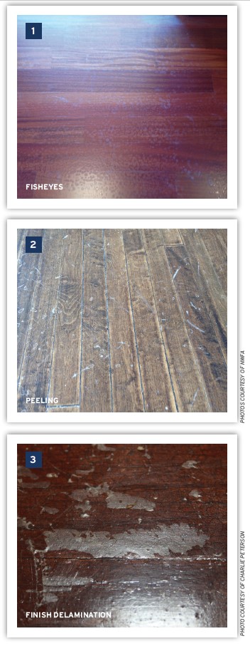 Stripping of Polish Examples