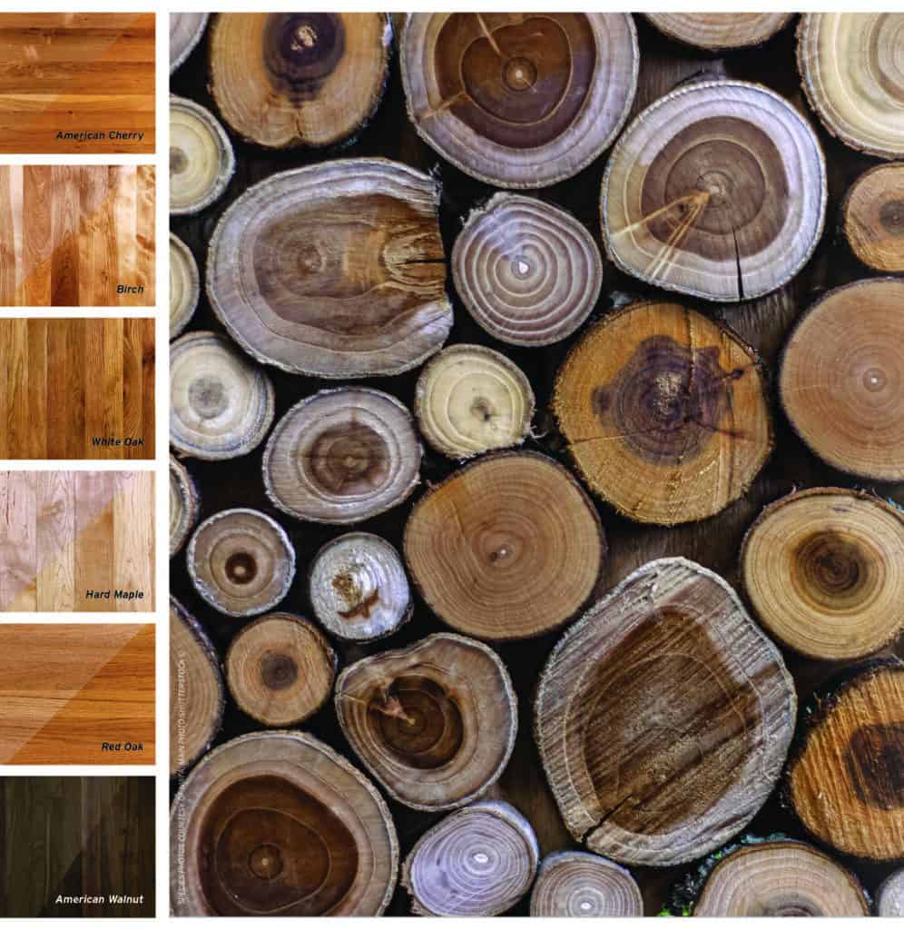 Wood Species A200: Updated and Upgraded