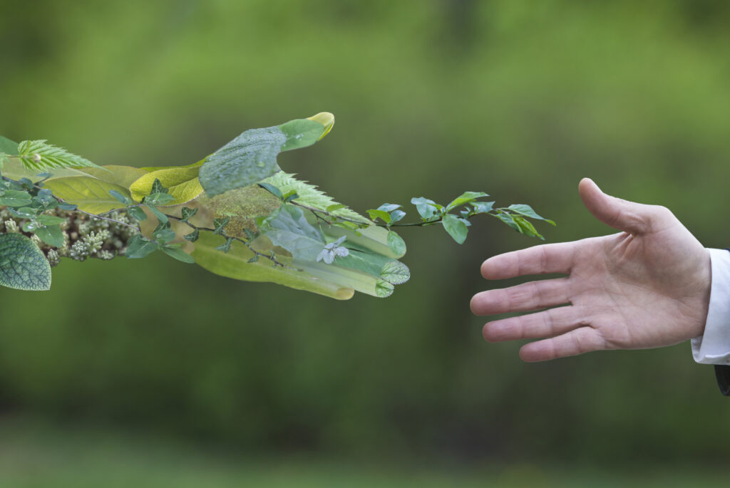 Hand of a businessman reach out towards hand of the nature
