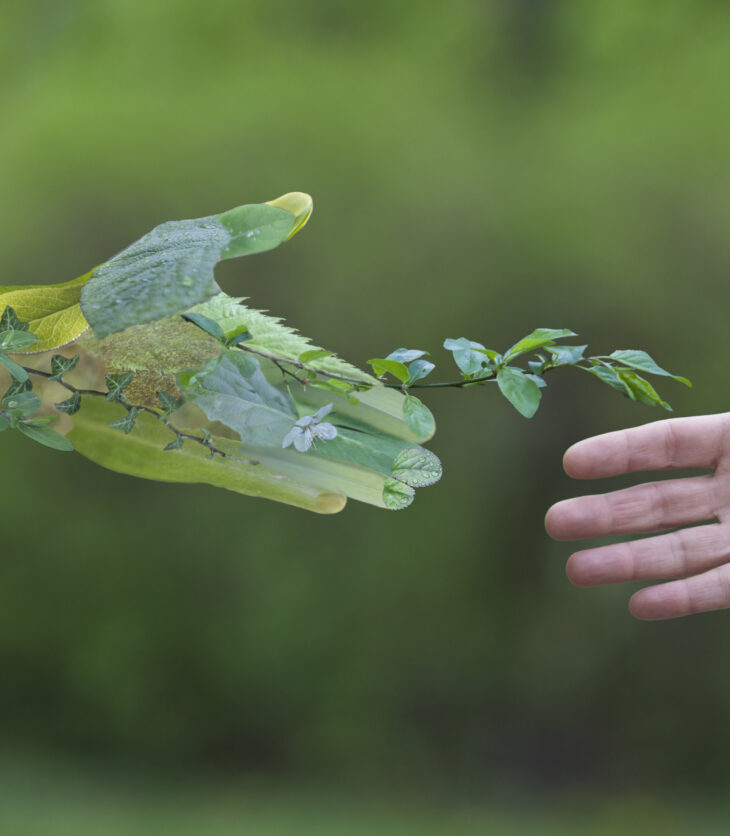 Hand of a businessman reach out towards hand of the nature