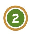 Green Brown 2