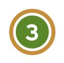 Green Brown 3