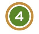 Green Brown 4