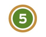 Green Brown 5