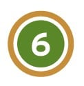 Green Brown 6