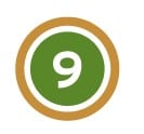 Green Brown 9