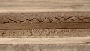 Wood shear