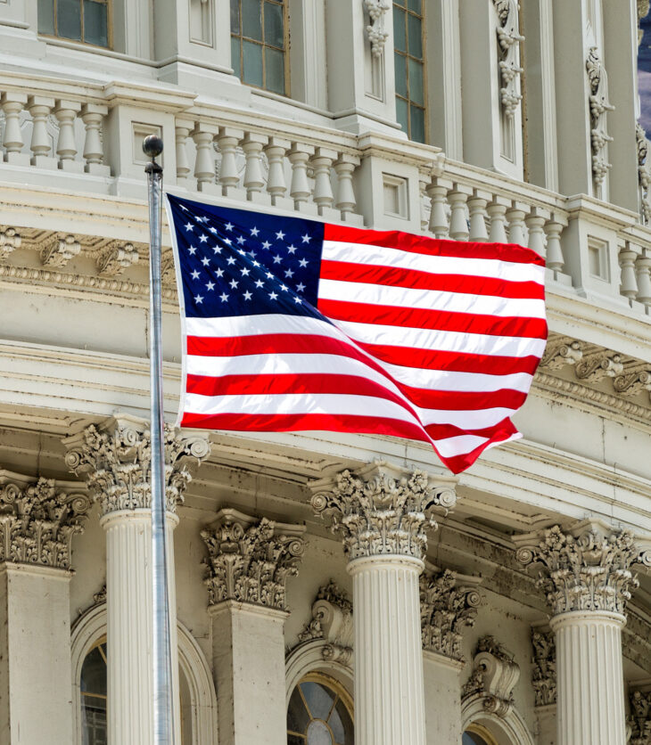 Capitol Dome with Flag