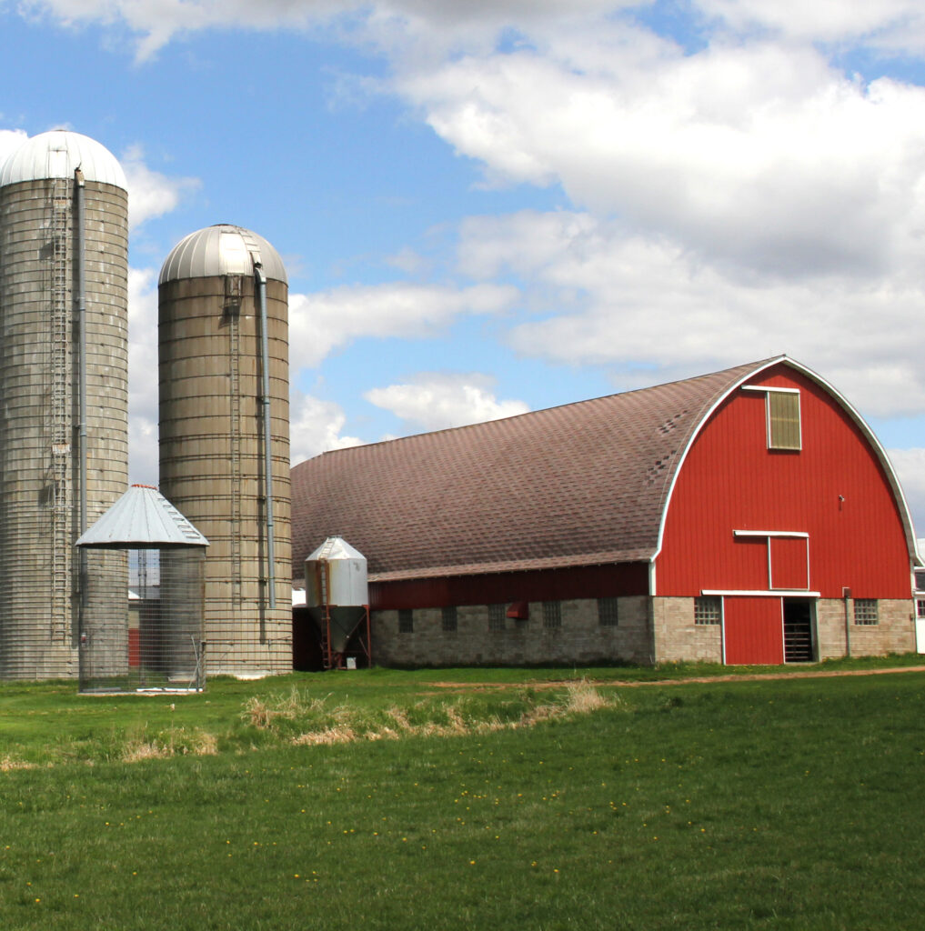 Wisconsin Dairy Farm in a spring setting with a blue sky background